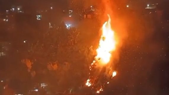 Incêndio atinge vegetação no Vale do Reginaldo e é contido por populares e bombeiros