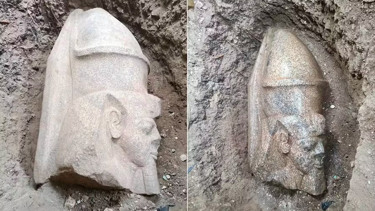 Morador faz descoberta de 3 mil anos de idade no quintal de casa