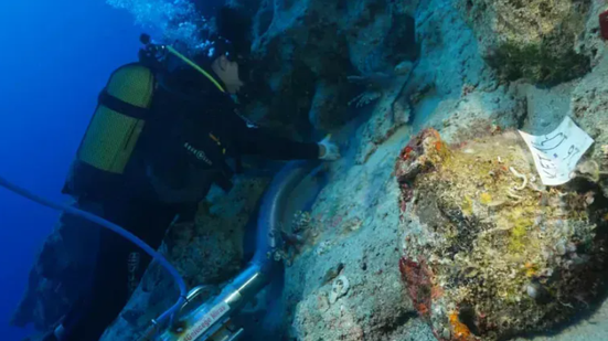 Naufrágio mais antigo do mundo é encontrado após 4.700 anos submerso
