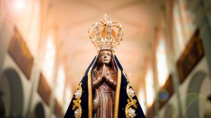 Nossa Senhora Aparecida - Reprodução