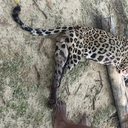 Reprodução / Arquivo Pessoal