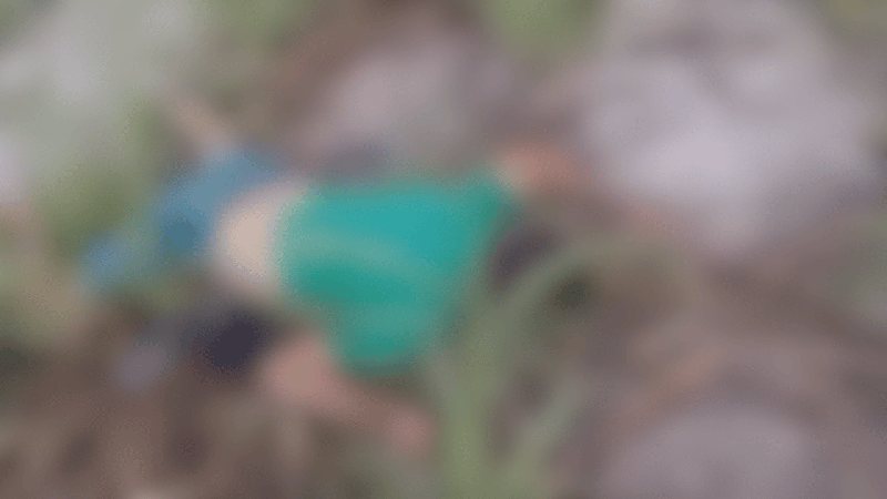 Homem é encontrado morto em canavial no interior de Alagoas