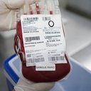 SUS faz transporte aéreo de sangue raro do Ceará a Minas para atender paciente em estado grave - Paulo Cavalcanti / HEMOCE