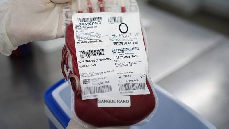 SUS faz transporte aéreo de sangue raro do Ceará a Minas para atender paciente em estado grave