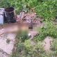 Jovem de 19 anos é morto a tiros no bairro Antares nesta sexta\u002Dfeira