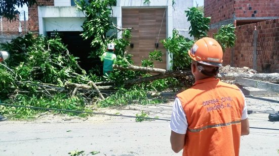 Defesa Civil de Maceió registra três ocorrências após ventos fortes no fim de semana - Foto: Secom Maceió