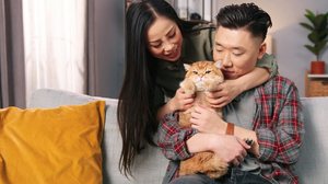 Os gatos são animais de estimação populares no Brasil (Imagem: VAKS-Stock Agency | Shutterstock)