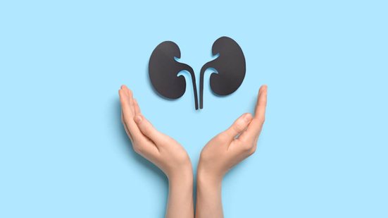 Os rins desempenham papel fundamental no funcionamento do organismo (Imagem: Pixel-Shot | Shutterstock)