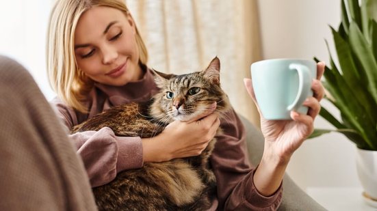 Pensar em nomes que combinem com gatos carinhosos é uma forma de celebrar sua doçura (Imagem: LightField Studios | Shutterstock)