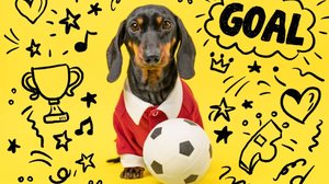 Para os tutores apaixonados por futebol, usar o nome de um time ou uma referência ligada ao clube do coração é uma forma divertida de homenagem (Imagem: Masarik | Shutterstock)