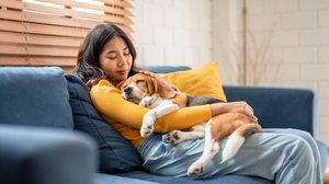 Há nomes perfeitos para cachorros tranquilos (Imagem: Hananeko_Studio | Shutterstock)
