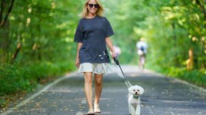 Plantas tóxicas para pets exigem atenção dos tutores durante os passeios (Imagem: Paparacy | Shutterstock)