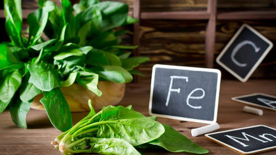 Alimentos ricos em ferro previnem a anemia e aumentam a energia do corpo (Imagem: vkuslandia | Shutterstock)