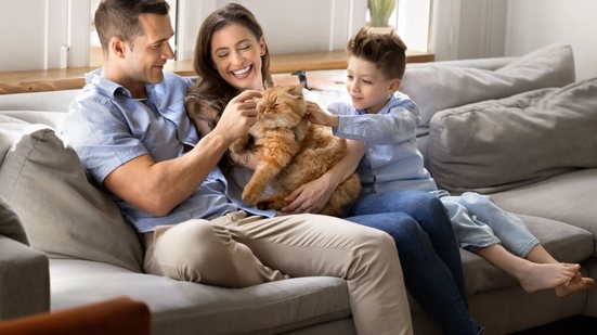 Alguns nomes são perfeitos para gatos carinhosos com os tutores (Imagem: fizkes | Shutterstock)