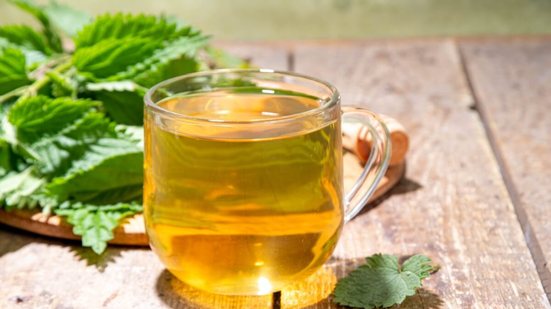 A urtiga é uma planta medicinal que oferece benefícios à saúde (Imagem: Rimma Bondarenko | Shutterstock)