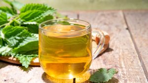 A urtiga é uma planta medicinal que oferece benefícios à saúde (Imagem: Rimma Bondarenko | Shutterstock)