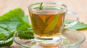 Chá de mastruz (Imagem: madorf | Shutterstock)