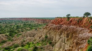 A Angola oferece a oportunidade de observar a vida selvagem de forma única (Imagem: Fabian Plock | Shutterstock)