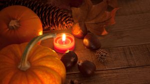 O Halloween é o dia perfeito para fazer simpatias e cortar energias negativas (Imagem: Candace Hartley | Shutterstock)