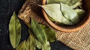 As simpatias podem ajudar a concentrar energia positiva, atrair oportunidades e fortalecer a sorte no amor, no dinheiro e na vida (Imagem: shine.graphics | Shutterstock)