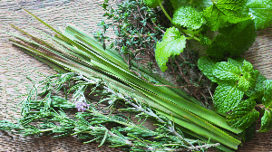 Os banhos de ervas ajudam a renovar as energias e a cultivar uma mentalidade de abundância (Imagem: kinako | Shutterstock)