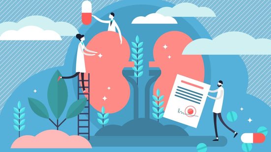 Cuidar da saúde dos rins no dia a dia é fundamental para evitar o câncer renal (Imagem: VectorMine | Shutterstock)