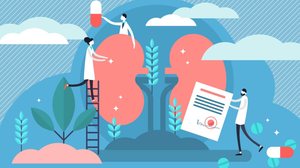 Cuidar da saúde dos rins no dia a dia é fundamental para evitar o câncer renal (Imagem: VectorMine | Shutterstock)