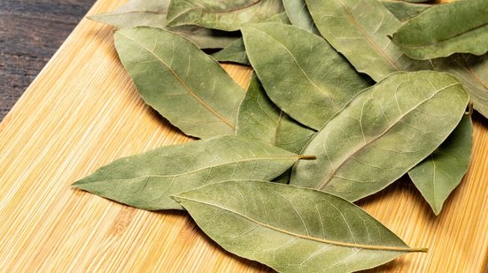A folha de louro é uma aliada em simpatias que equilibram a mente e renovam as energias (Imagem: Wako Megum | Shutterstock)