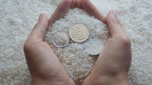 Rituais simples ajudam a atrair prosperidade e renovar energias ligadas ao dinheiro (Imagem: Full charge | Shutterstock)