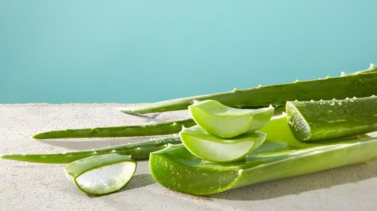 A aloe vera ganhou protagonismo nos cuidados com a pele e é usada em diferentes rotinas de beleza (Imagem: Light Stock | Shutterstock)