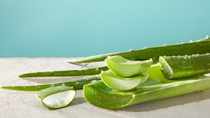 A aloe vera ganhou protagonismo nos cuidados com a pele e é usada em diferentes rotinas de beleza (Imagem: Light Stock | Shutterstock)