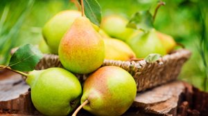 A pera é uma fruta saborosa e rica em nutrientes essenciais para a saúde (Imagem: nelea33 | Shutterstock)