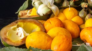 O pequi é rico em sabor e benefícios para a saúde (Imagem: Adilson Sochodolak | Shutterstock)