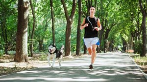 Animais que praticam atividade física precisam de cuidados especiais (Imagem: Maples Images | Shutterstock)