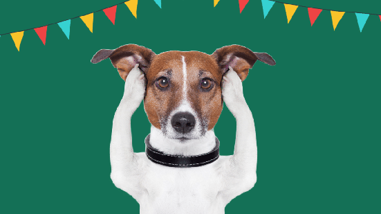 Combinação de barulho, movimentação intensa e ambientes mais agitados durante o período pode representar um desafio para cães e gatos (Imagem: Javier Brosch | Shutterstock)
