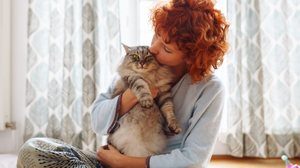 Cuidados com os gatos vão além de oferecer comida e abrigo (Imagem: larisa Stefanjuk | Shutterstock)