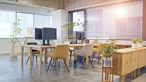 Um ambiente de trabalho organizado favorece a saúde mental dos colaboradores (Imagem: metamorworks | Shutterstock)