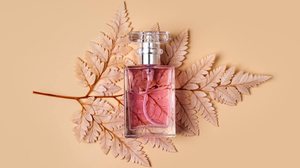 Os perfumes de outono trazem sensação envolvente e sofisticada (Imagem: Igisheva Maria | Shutterstock)
