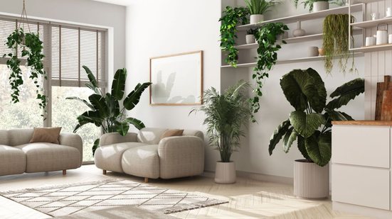 A biofilia busca conectar as pessoas com a natureza por meio da decoração  (Imagem: Archi_Viz | Shutterstock)
