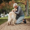 Quando o tutor aprende a se comunicar com o cachorro, a relação entre eles se transforma (Imagem: PeopleImages | Shutterstock)