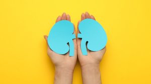 A hipertensão pode prejudicar seriamente a saúde dos rins (Imagem: New Africa | Shutterstock)