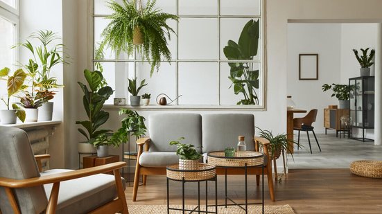 5 dicas para transformar os ambientes com plantas na decoração