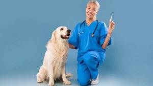 Julho Dourado conscientiza a população sobre a importância da vacinação para pets (Imagem: Prostock-studio | Shutterstock)