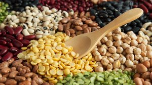 Os grupos certos de alimentos ajudam a suprir as necessidades nutricionais do corpo (Imagem: Piyaset | Shutterstock)