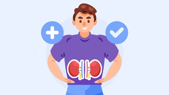 Os rins têm um papel essencial na filtragem do sangue e na eliminação de toxinas do organismo (Imagem: paper cut design | Shutterstock)