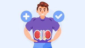 Os rins têm um papel essencial na filtragem do sangue e na eliminação de toxinas do organismo (Imagem: paper cut design | Shutterstock)