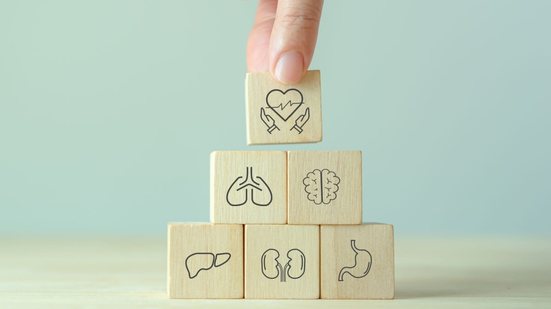 Mitos sobre a doação de órgãos dificultam esse ato de generosidade (Imagem: 3rdtimeluckystudio | Shutterstock)