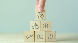 Mitos sobre a doação de órgãos dificultam esse ato de generosidade (Imagem: 3rdtimeluckystudio | Shutterstock)