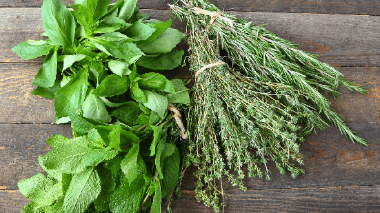 Plantas aromáticas conquistam espaço nas casas não apenas pelo aroma agradável, mas também pelos compostos naturais que podem trazer benefícios à saúde (Imagem: Protasov AN | Shutterstock)