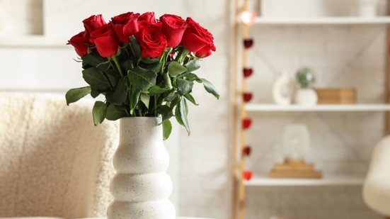 Algumas plantas podem transformar a energia da sua casa e abrir caminhos para o amor florescer (Imagem: Pixel-Shot | Shutterstock)